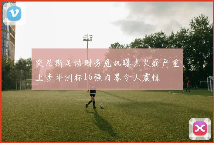 突尼斯足协财务危机曝光欠薪严重止步非洲杯16强内幕令人震惊