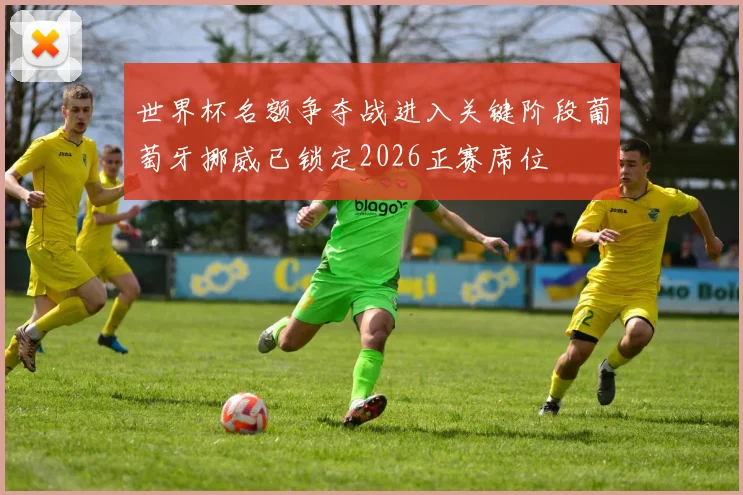 世界杯名额争夺战进入关键阶段葡萄牙挪威已锁定2026正赛席位