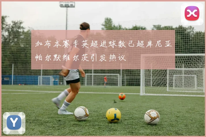 加布本赛季英超进球数已超库尼亚帕尔默维尔茨引发热议