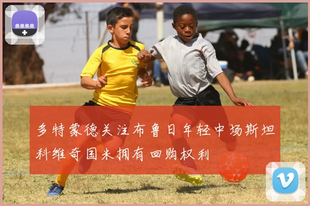 多特蒙德关注布鲁日年轻中场斯坦科维奇国米拥有回购权利